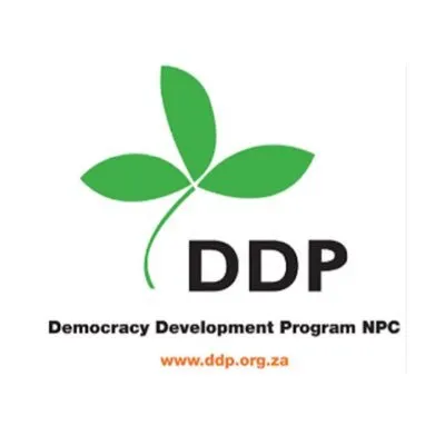 ddp.org.za's icon
