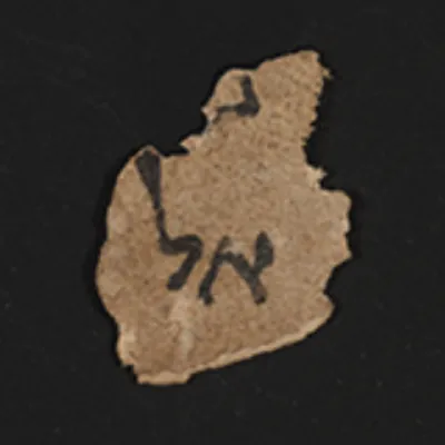 deadseascrolls.org.il's icon