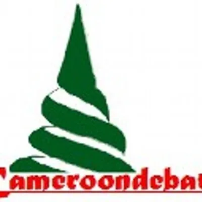 debatecameroon.org's icon