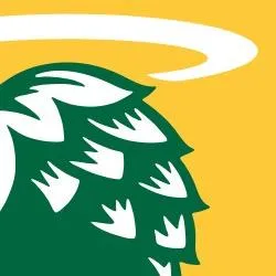 debinebrewingco.com's icon
