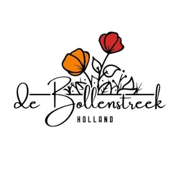 debollenstreek.com's icon