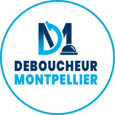 deboucheur-montpellier.com's icon