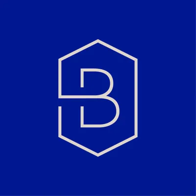 deburgemeester.nl's icon