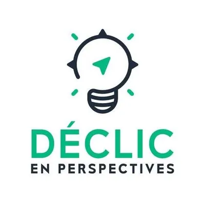 declic-en-perspectives.be's icon