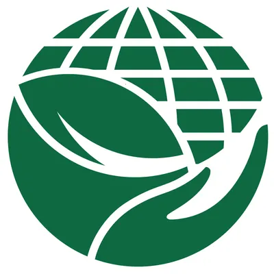 decoland-egy.com's icon