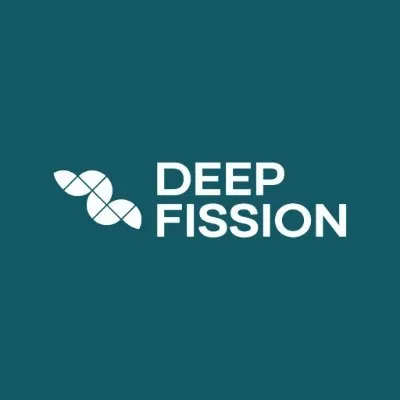 deepfission.com's icon