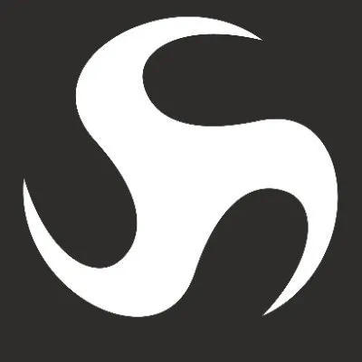 Deep Silver's icon