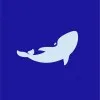 deepvision.team's icon