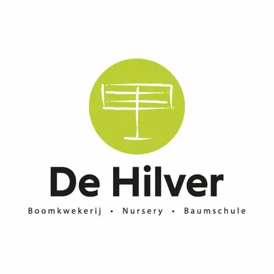 dehilver.com's icon
