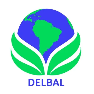 delbal.com's icon