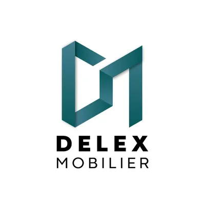 delexmobilier.fr's icon