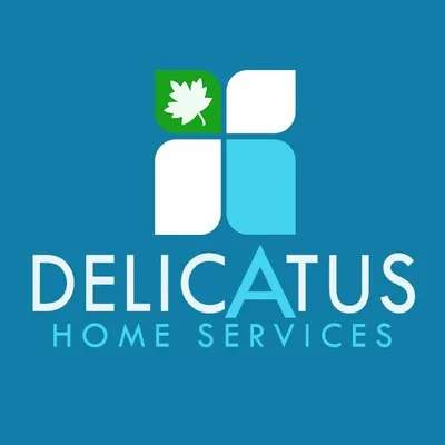 delicatusinc.com's icon