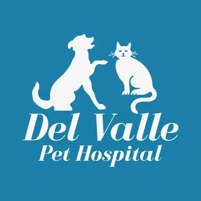 delvallepethospital.com's icon
