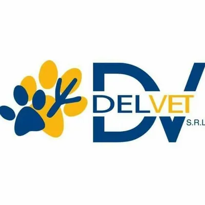 delvet.it's icon