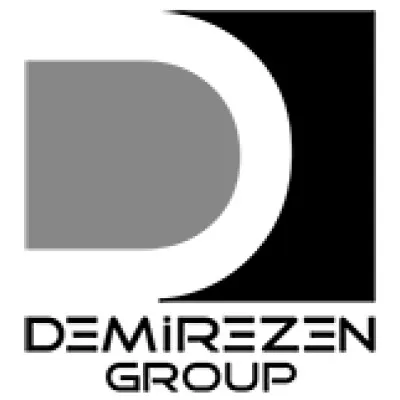 demirezengroup.com's icon