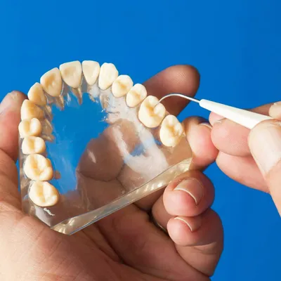 dentorium.hu's icon