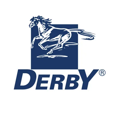 derby.de's icon