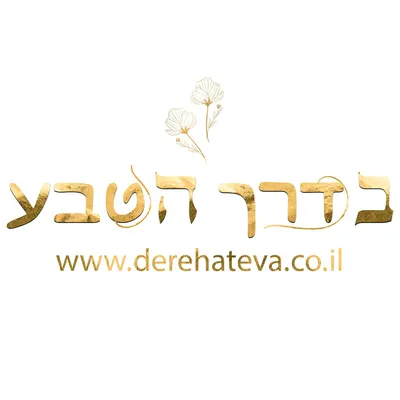 derehateva.co.il's icon