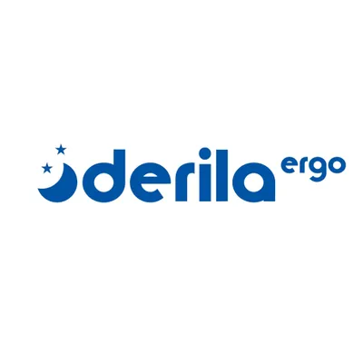 derila-ergo.com's icon