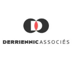 derriennic.com's icon
