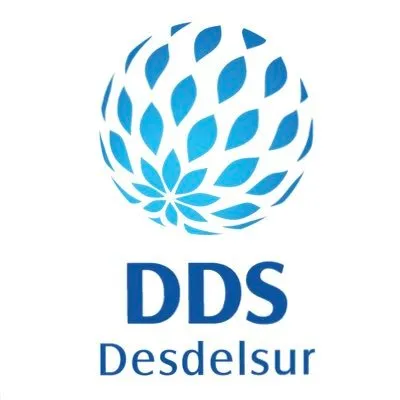 desdelsur.com's icon