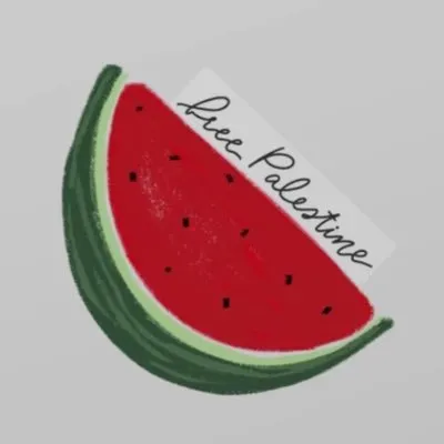 desertchica.com's icon