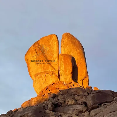 desertpaths.co's icon