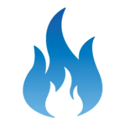 desertstatefire.com's icon