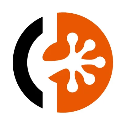 designerclub.com's icon