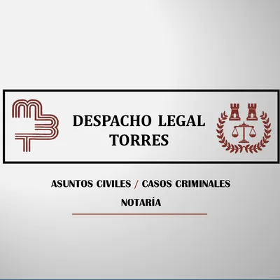 despacholegaltorres.com's icon