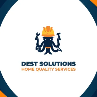 dest-solutions.com's icon