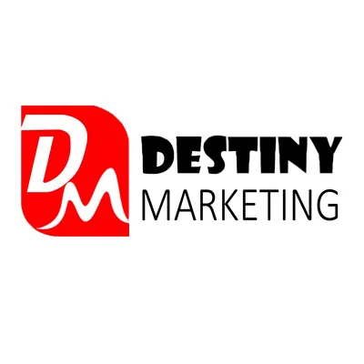 destinyseo.com's icon