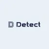 detectinspections.com's icon
