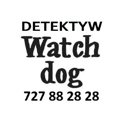detektyw-wroclaw.com's icon