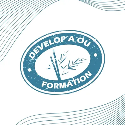 developaou.com's icon