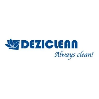 deziclean.ro's icon