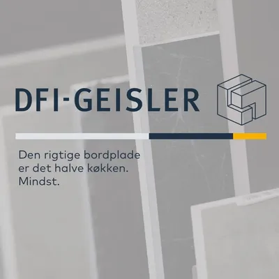 dfi-geisler.com's icon