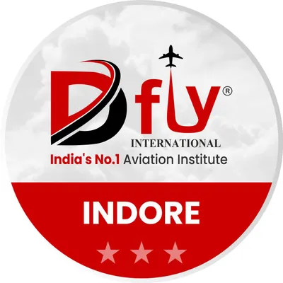 dflyinternational.com's icon
