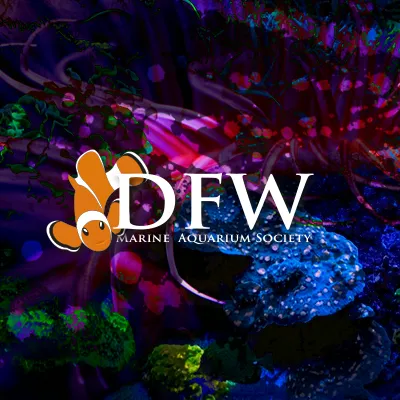 dfwmas.org's icon