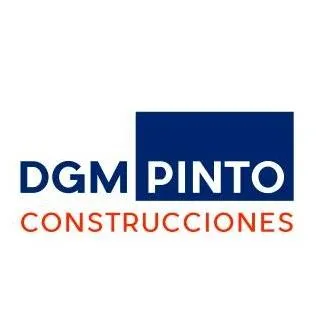 dgmpinto.com.ar's icon