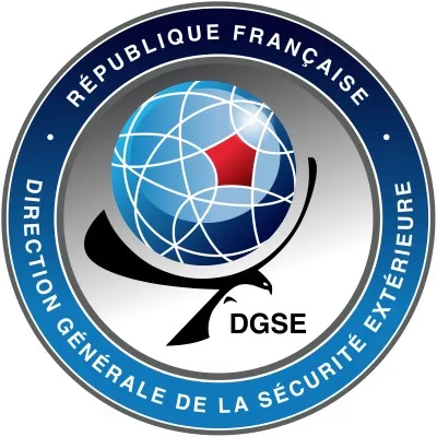 dgse.gouv.fr's icon