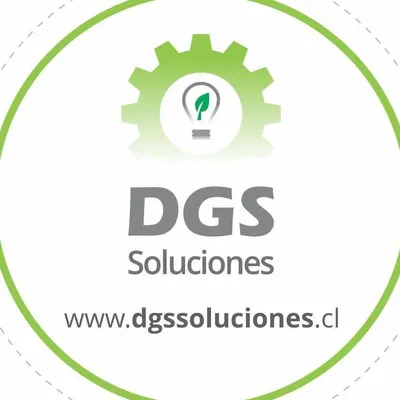 dgssoluciones.cl's icon