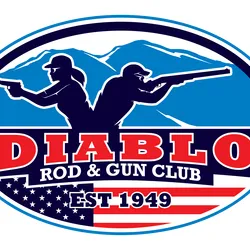 diablorodandgun.com's icon