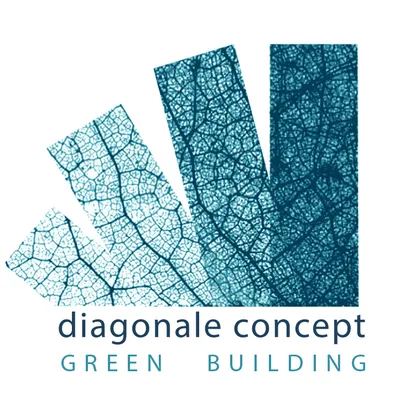 diagonaleconcept.com's icon