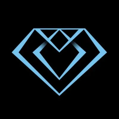 diamondrecoverygroup.com's icon