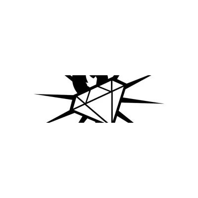 Diamond Snowboards's icon