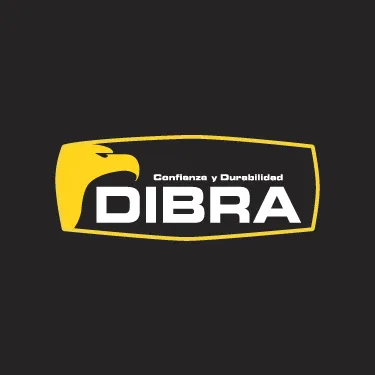dibra.com.ar's icon