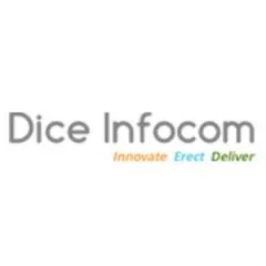 diceinfocom.com's icon
