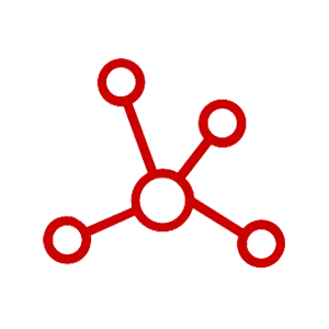 dicolink.com's icon