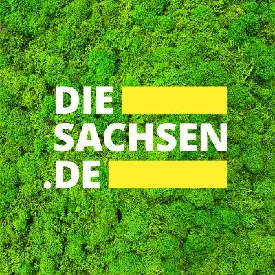 diesachsen.de's icon